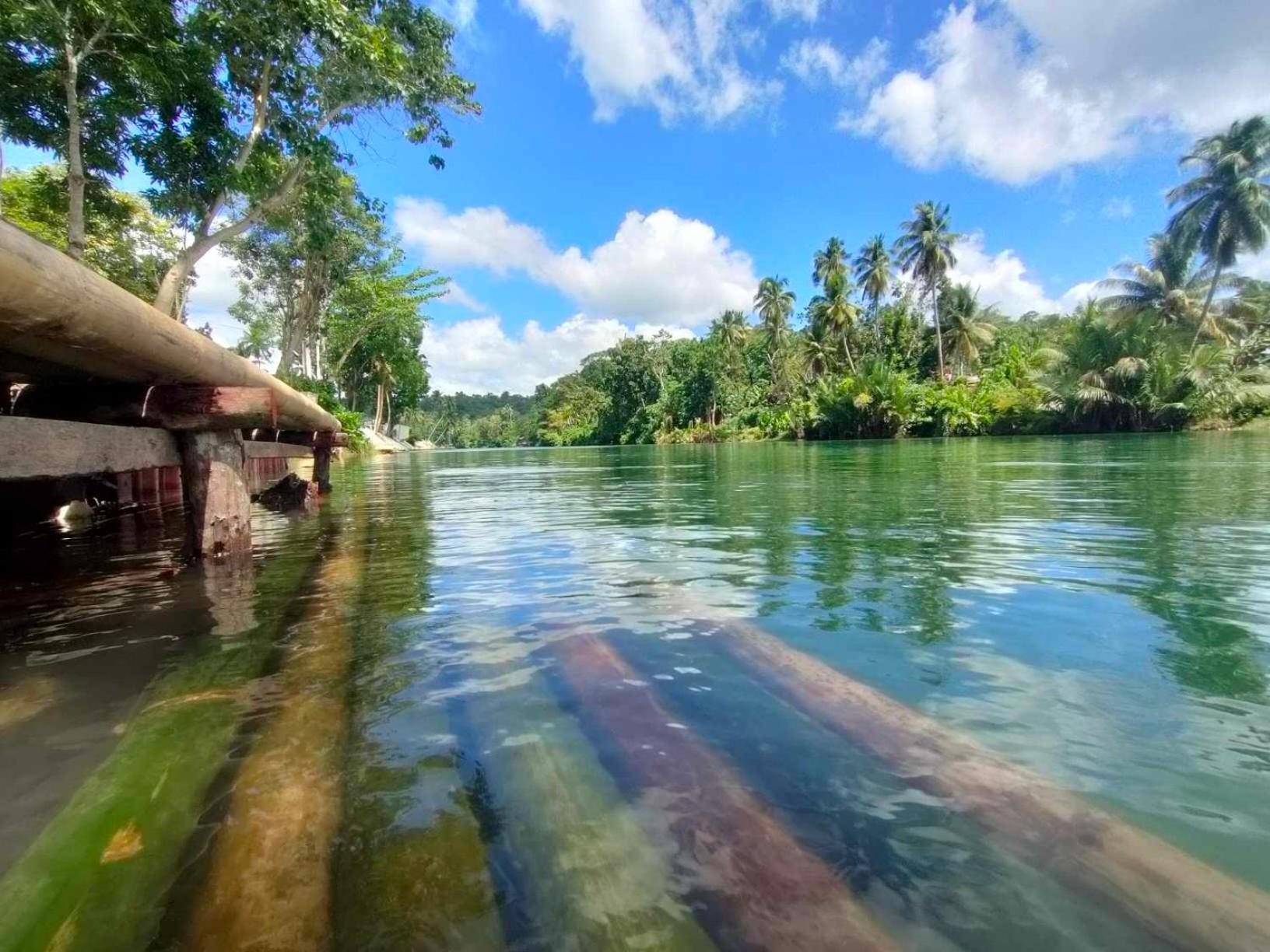 Gbu Loboc River Guesthouse Dış mekan fotoğraf